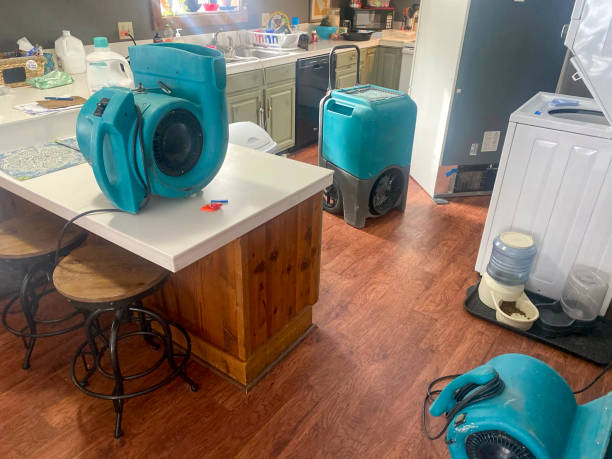 Best Water damage restoration near me  in Poquonock Bridge, CT