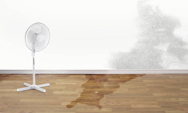 Best Water damage cleanup near me  in Poquonock Bridge, CT