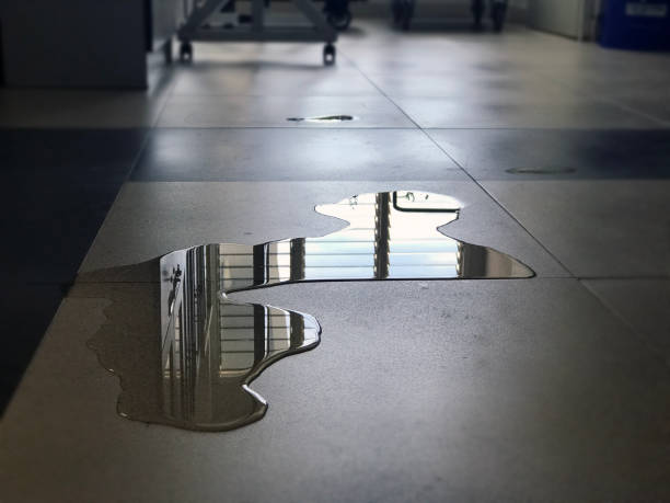 Reliable CT Water damage restoration Solutions
