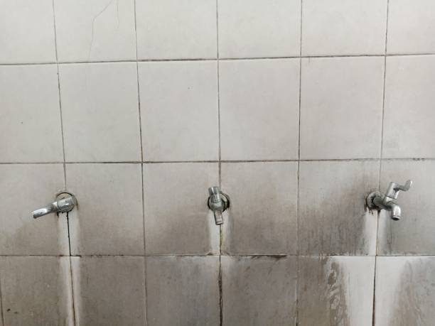 Best Mold removal after water damage  in Poquonock Bridge, CT