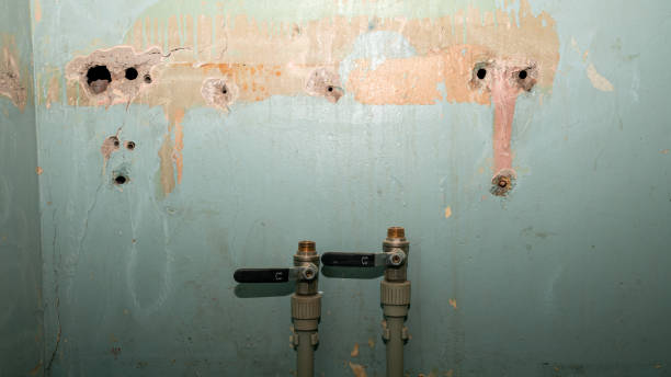 Best Water damage restoration near me  in Poquonock Bridge, CT